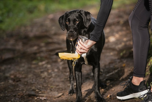 HydraPaw™ Portable Dog Water Bottle | Leak-Proof Travel Bowl
